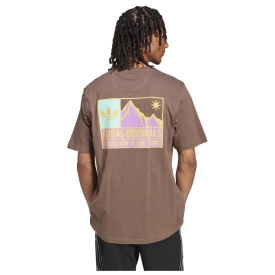 Adidas Ανδρική κοντομάνικη μπλούζα Mountain Graphic Tee